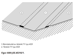 AMA JSE 45316_1.jpg