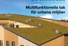 Rostfri Fotplåt Sedumtak - perforerad - 2