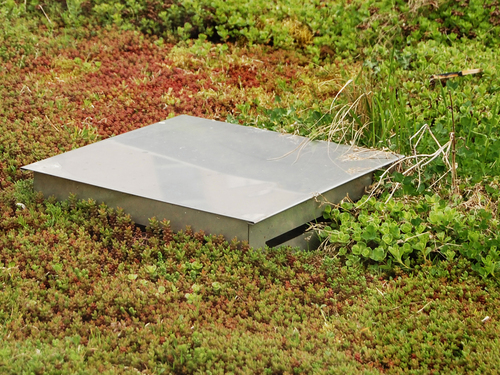 Takbrunnsskydd sedumtak - 350x350x110 mm - 2